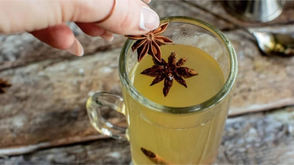 Incorporating-Star-Anise-Based-on-Cooking-Time-brownbotany.jpg