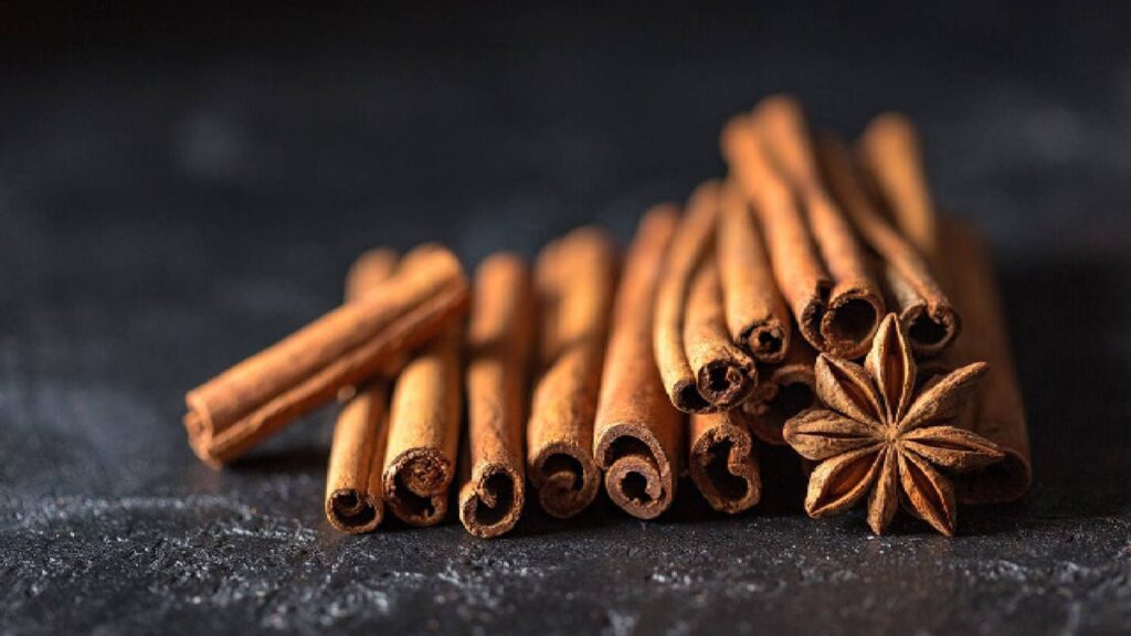 Origin-of-Cinnamon-brownbotany.jpg