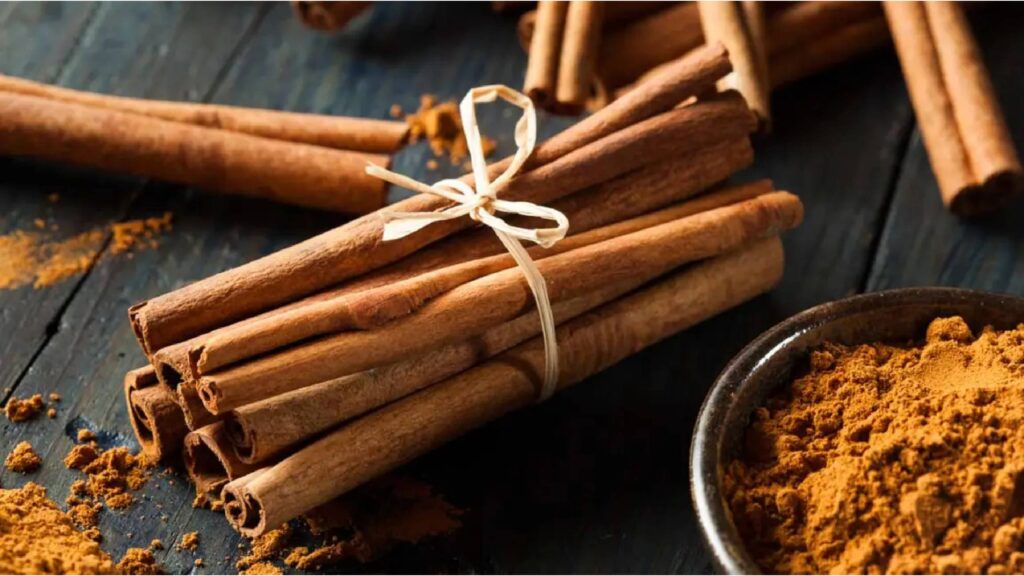 the-Health-Benefits-of-Cinnamon_-The-Ancient-Spice-for-Modern-Wellness-brown-botany